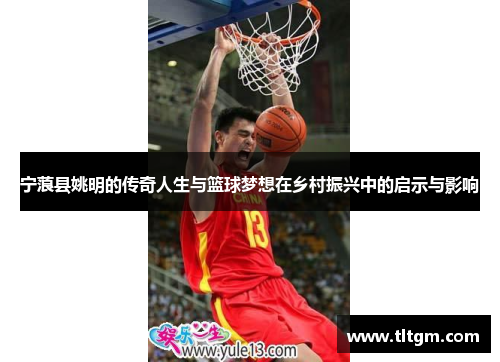 宁蒗县姚明的传奇人生与篮球梦想在乡村振兴中的启示与影响